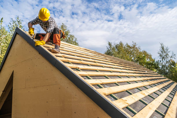 Best Roof Gutter Cleaning  in Jefferson, NC